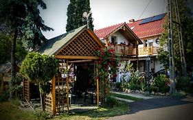 Agroturystyka u Willima